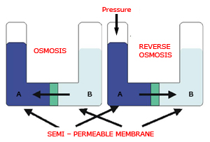 Principle of reverse osmosis system